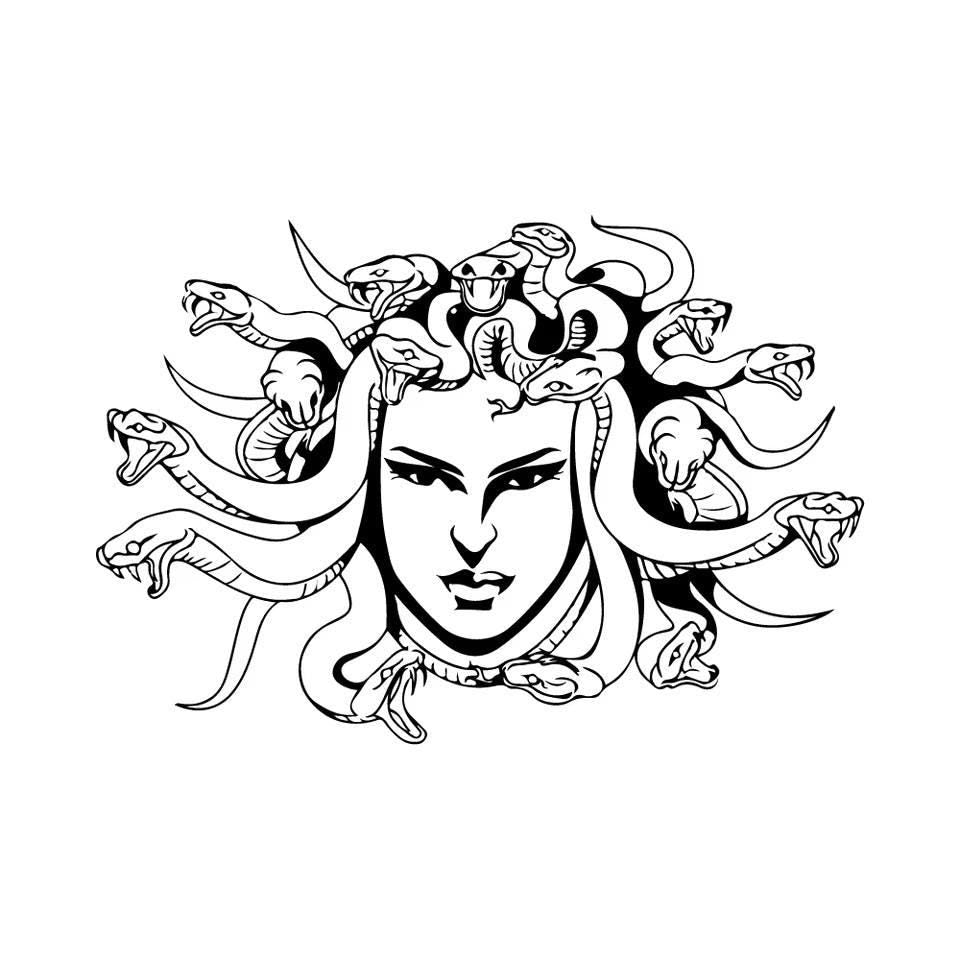 2x Medusa Design Vinyl Cut Sticker for Car Body,Door,Hood Exterior Accessories Snake PVC Decal Waterproof,Sun protection - Evreka Decal
