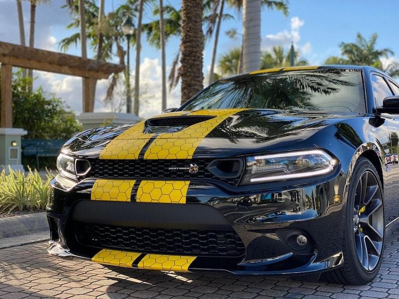 Honey Comb RACING Stripes Dual 10" for Dodge Charger and challenger With Trim Package Charger GT, SRT, Scatpack, Hellcat Car Decals Dodge Ch - Evreka Decal