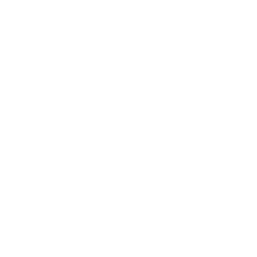 Evreka Decal